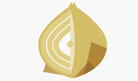 Worldview onion good soil