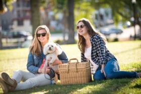 Getty Images 518551696 Resize