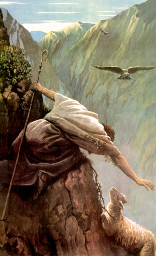 Good Soil The Lost Sheep