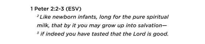 12 Steps Article6 Verses 05