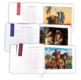 Reflections 3Spreads